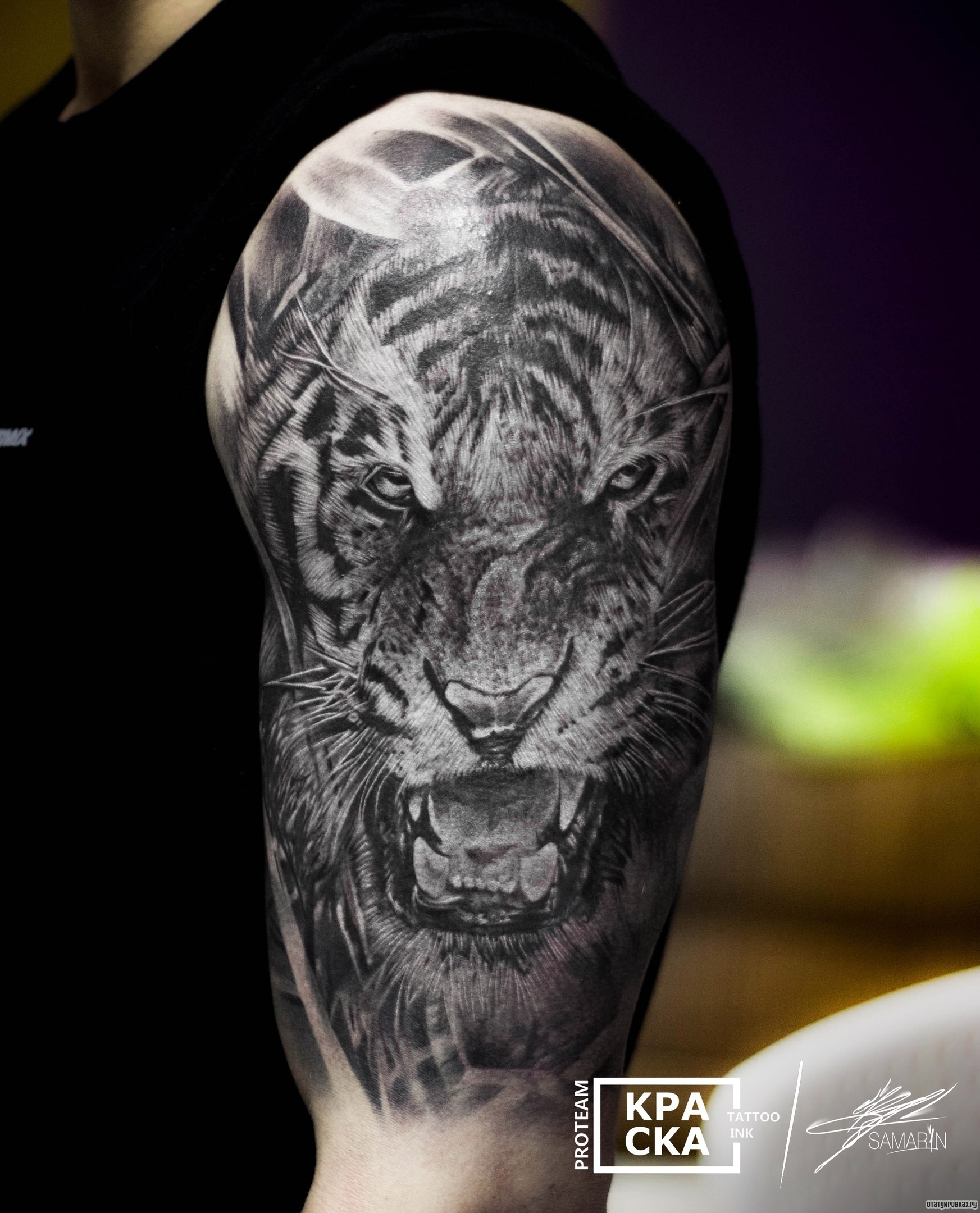 Фотография татуировки под названием «Тигр на лече парня»