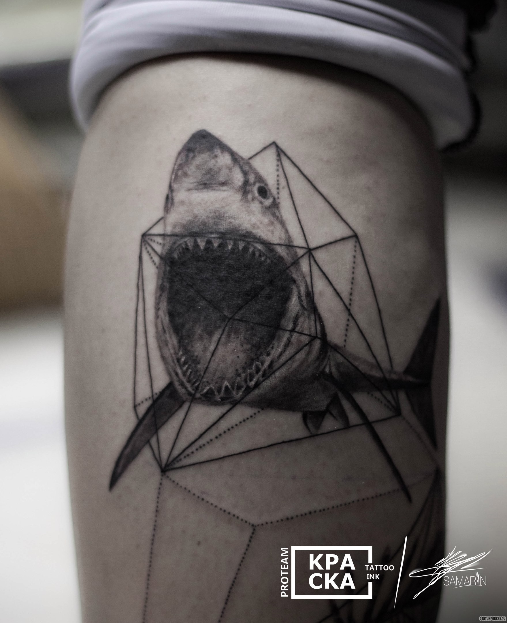 Фотография татуировки под названием «Акула»