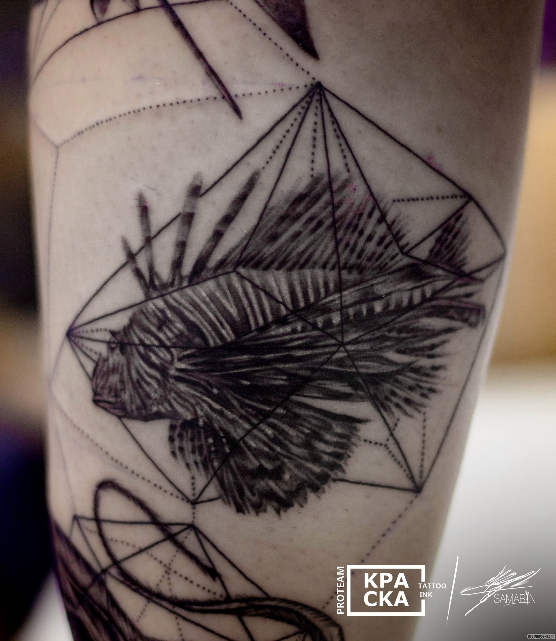 Фотография татуировки под названием «Рыб с узорами»