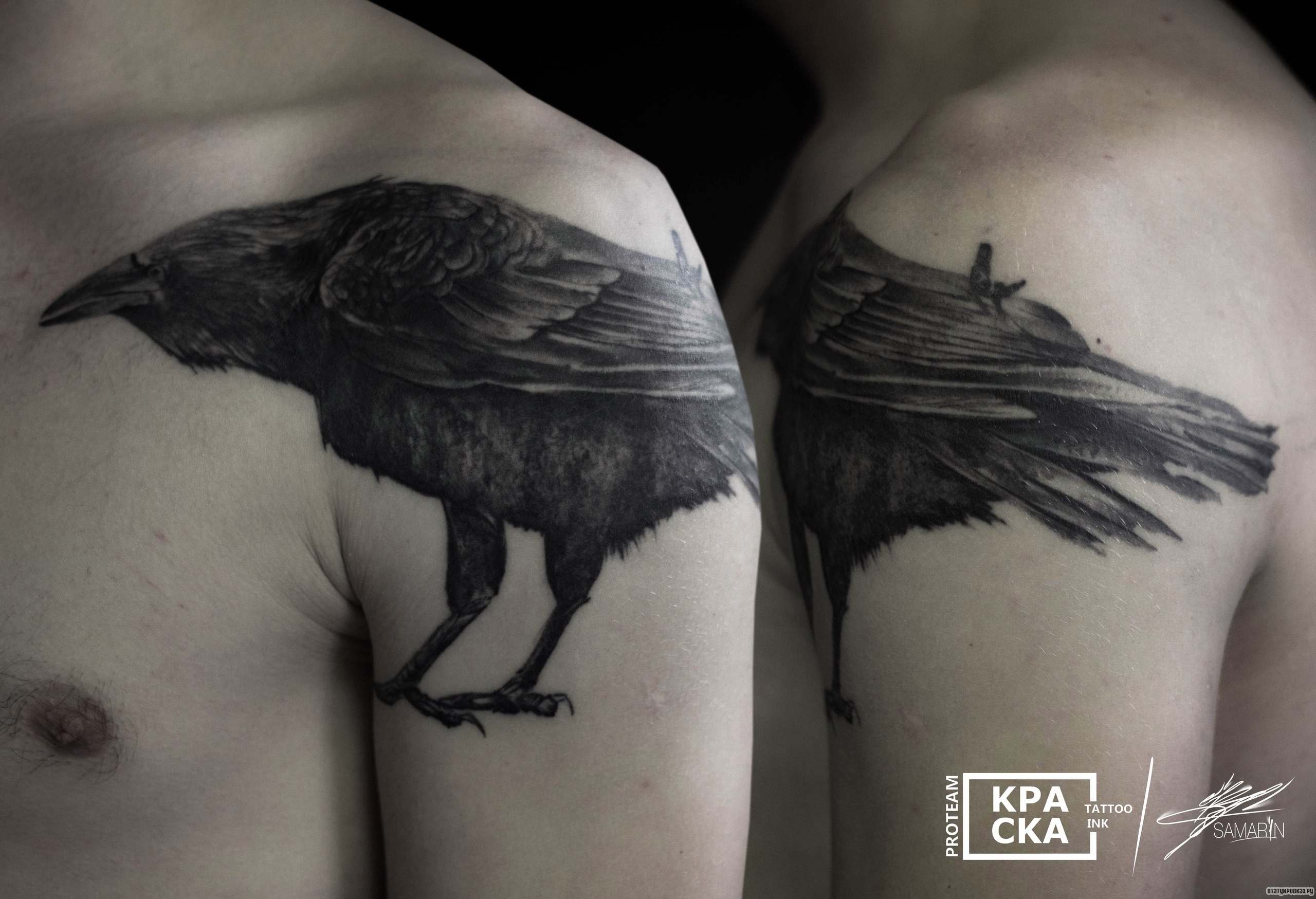 Фотография татуировки под названием «Ворон на плече»