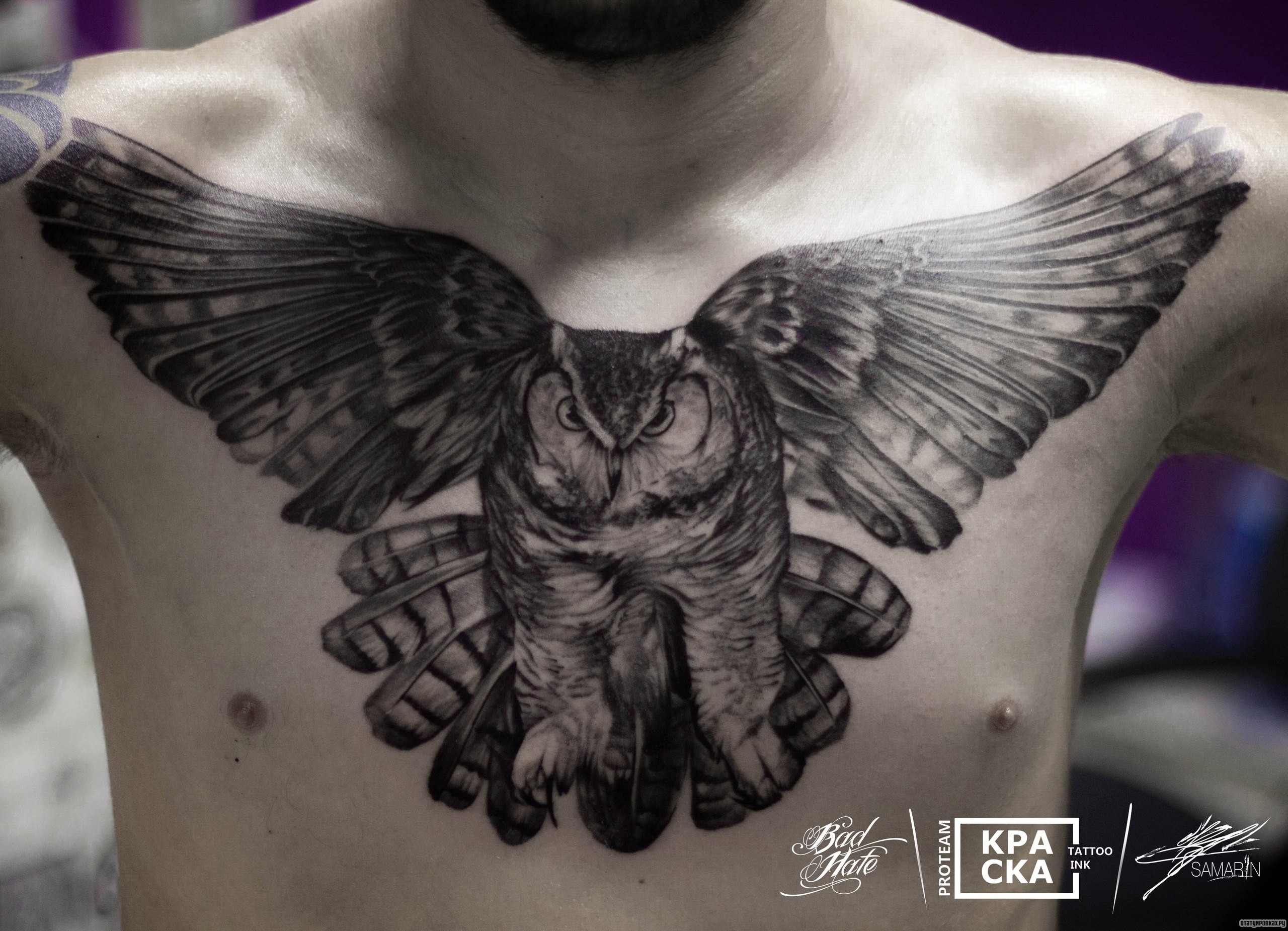 Фотография татуировки под названием «Размах крыльев совы на груди парня»