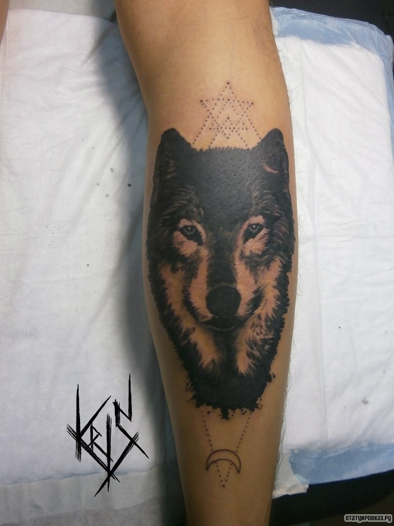 Фотография татуировки под названием «Волк и точки на предплечье»