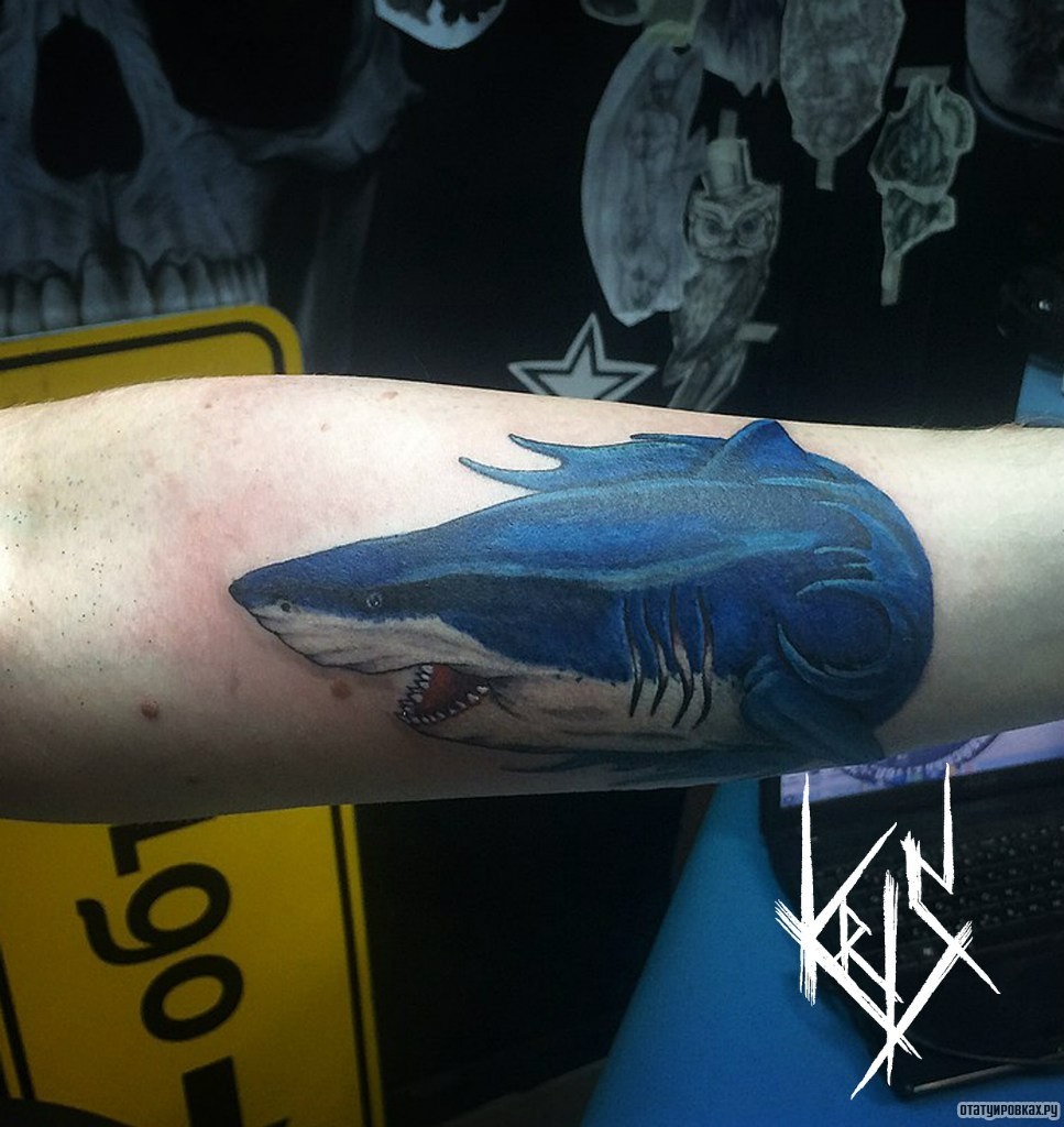 Фотография татуировки под названием «Синяя акула на предплечье»