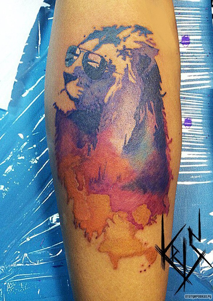 Фотография татуировки под названием «Лев в очках в стиле акварель на предплечье»