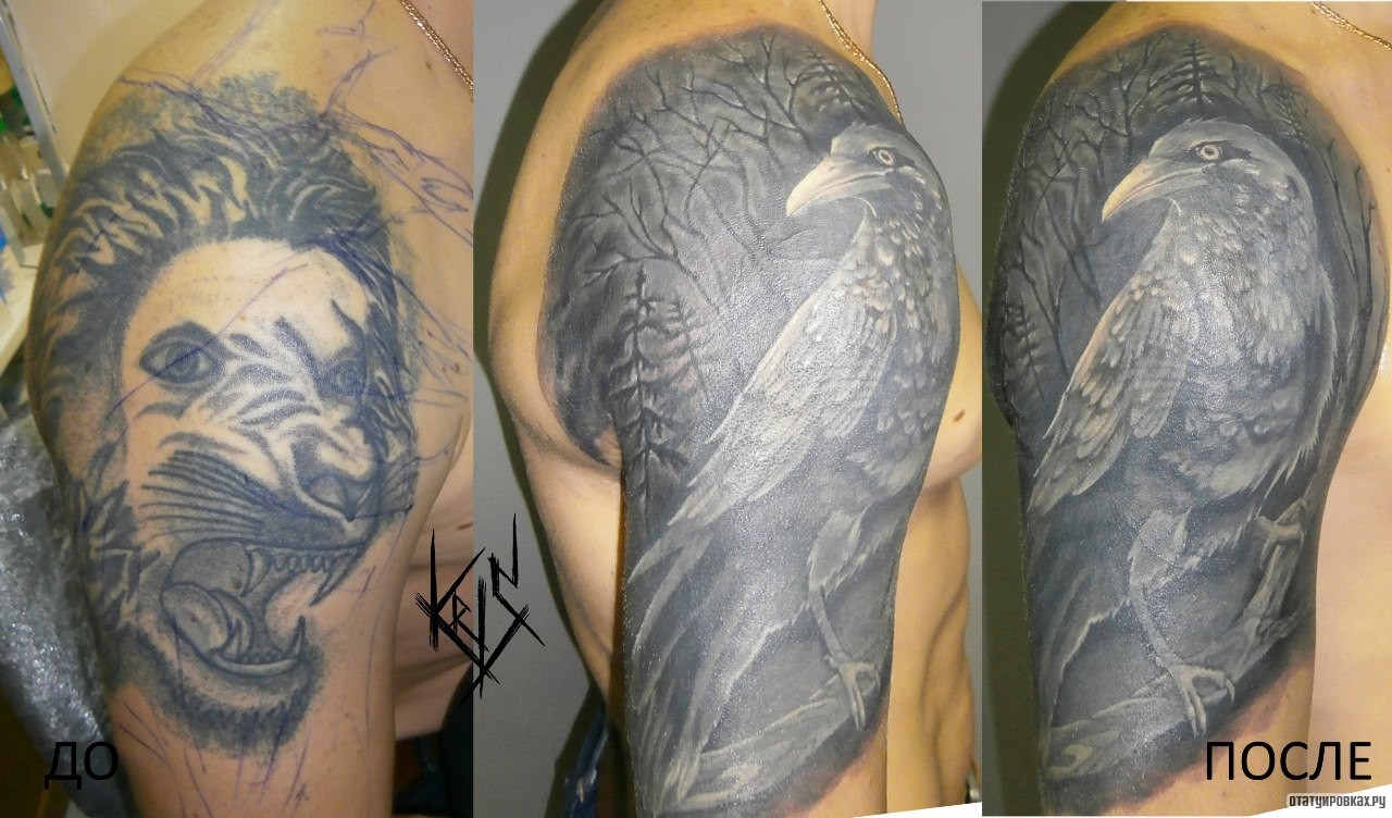 Фотография татуировки под названием «Ворон на ветке каверап на плече»