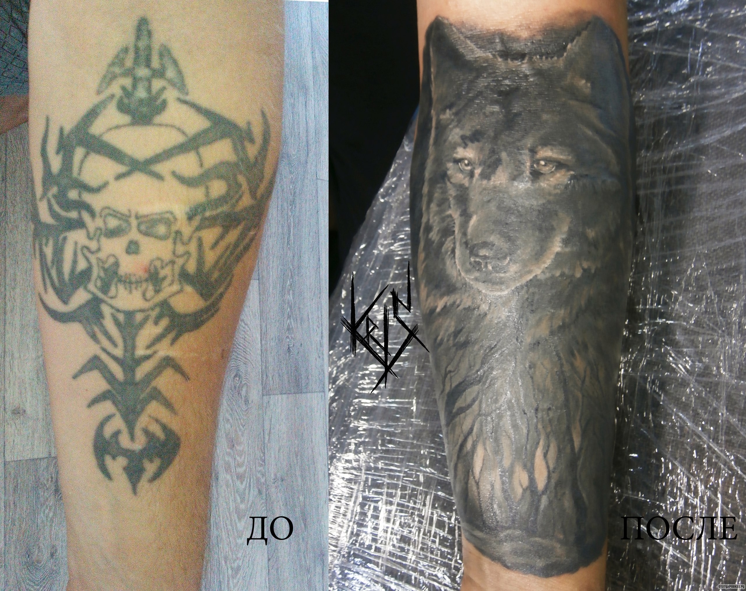 Фотография татуировки под названием «Волк черный на предплечье»