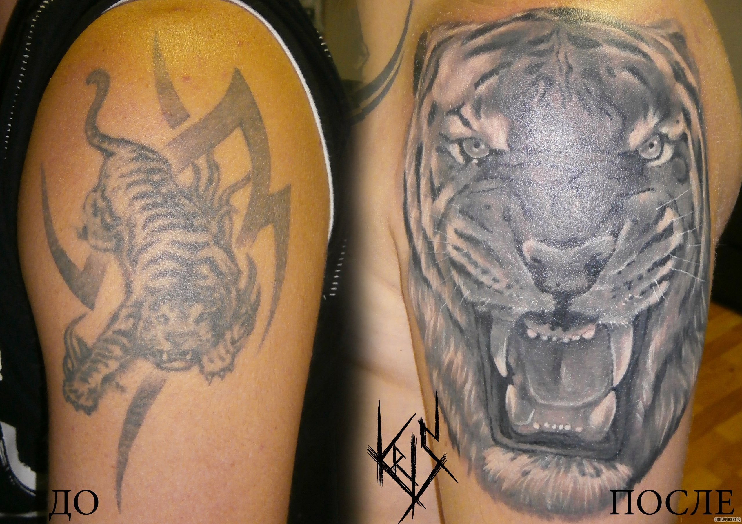 Фотография татуировки под названием «Оскал тигра кавеарп на плече»