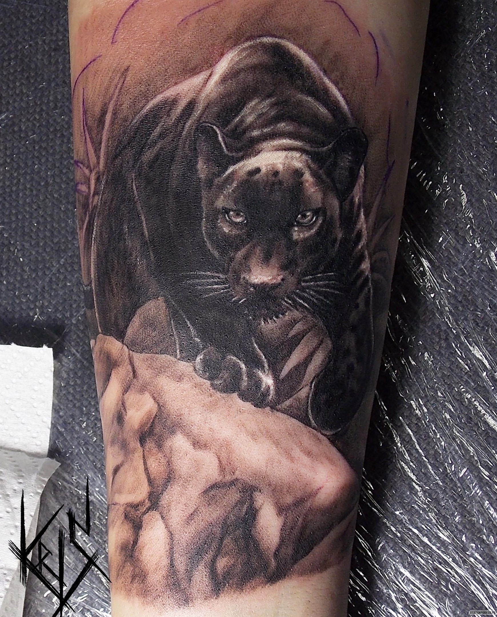 Татуировки С Животными