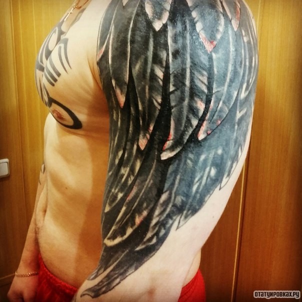 Фотография татуировки под названием «Большое черное крыло на плече»