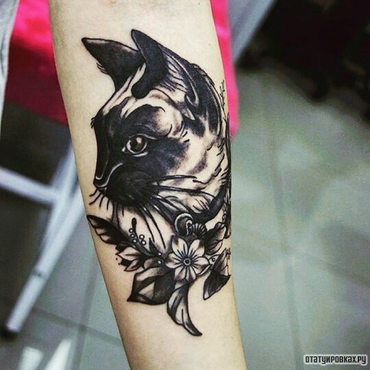 Фотография татуировки под названием «Кот с цветами чб на предплечье»