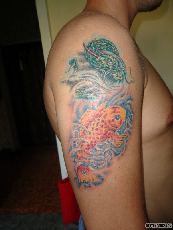 Фотография татуировки под названием «Карп и дракон на плече»