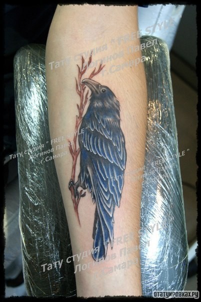 Фотография татуировки под названием «Ворон на ветке, тату на предплечье»