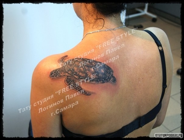 Фотография татуировки под названием «Черепаха на лопатке девушки»