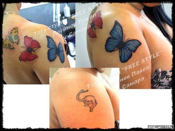 Фотография татуировки под названием «Три бабочки каверап на плече девушки»