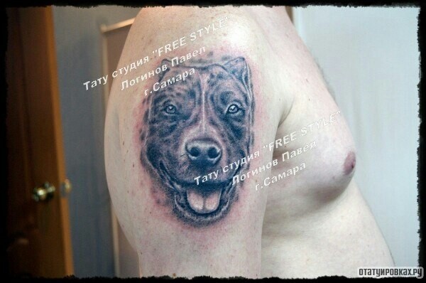 Фотография татуировки под названием «Собака на плече на память»