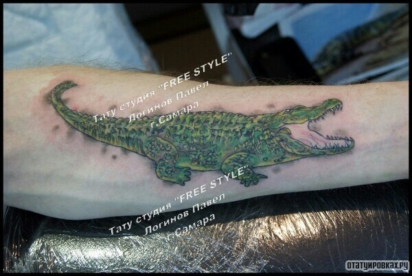 Фотография татуировки под названием «Крокодил на предплечье»