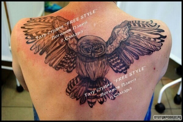 Фотография татуировки под названием «Сова на спине»