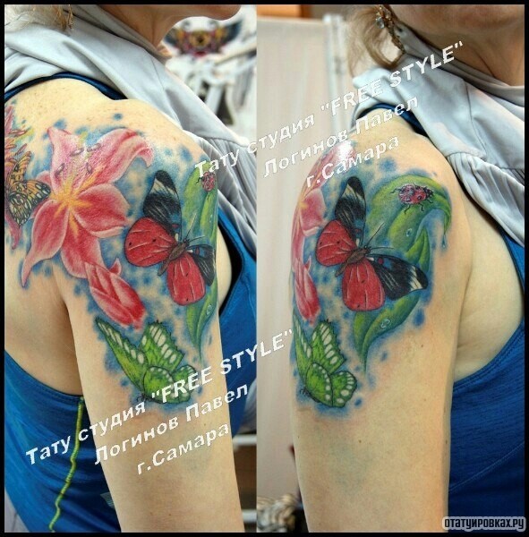 Фотография татуировки под названием «Бабочки и лилия на плече девушки»