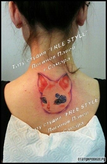 Фотография татуировки под названием «Голова кошки на спине девушки»