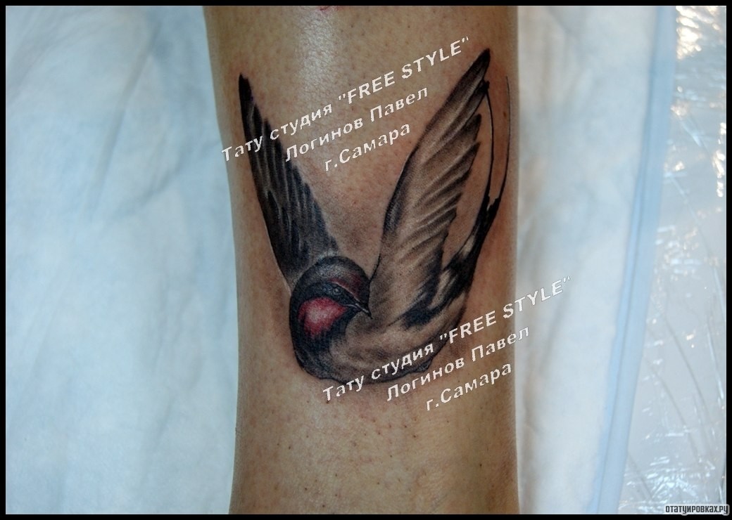 Фотография татуировки под названием «Ласточка в полете»