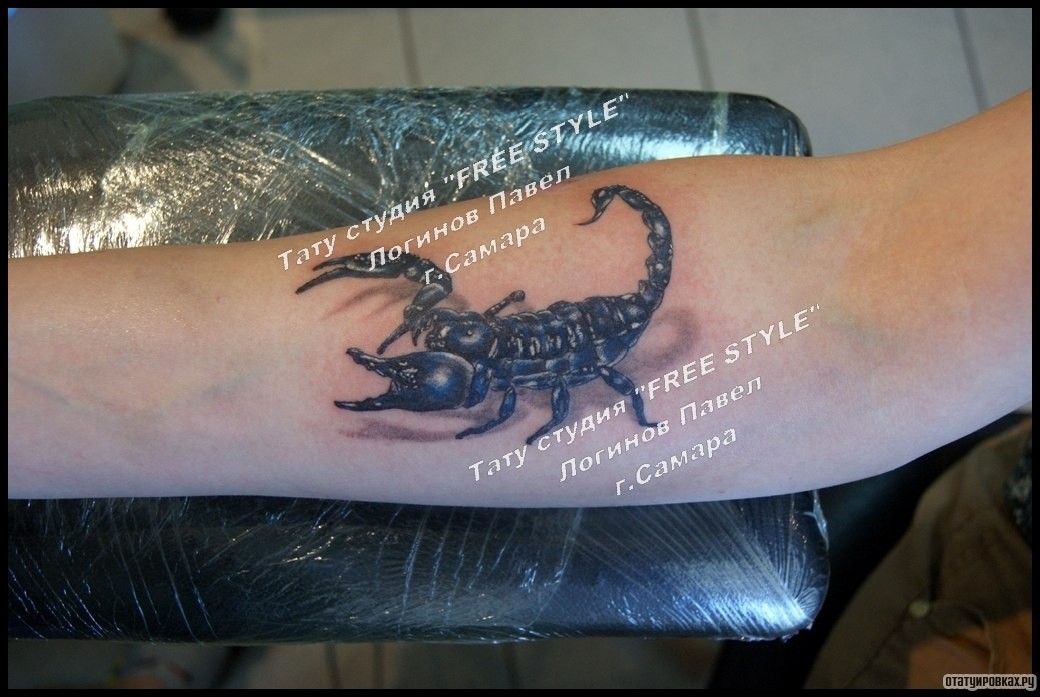 Фотография татуировки под названием «Скорпион на предплечье»