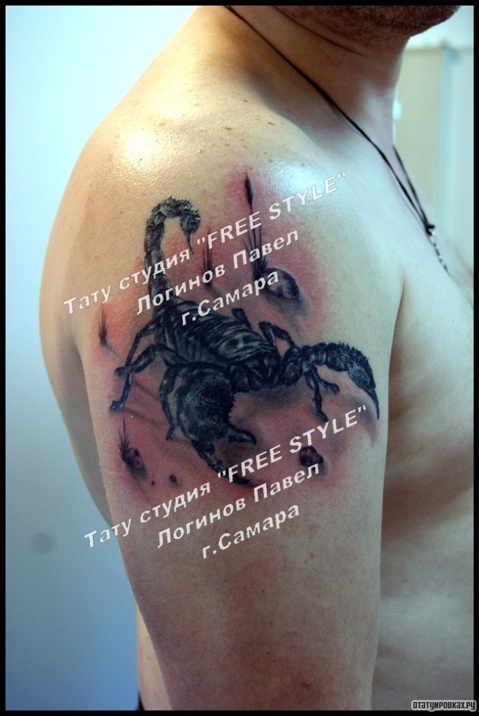 Фотография татуировки под названием «Скорпион на плече парня 3д»