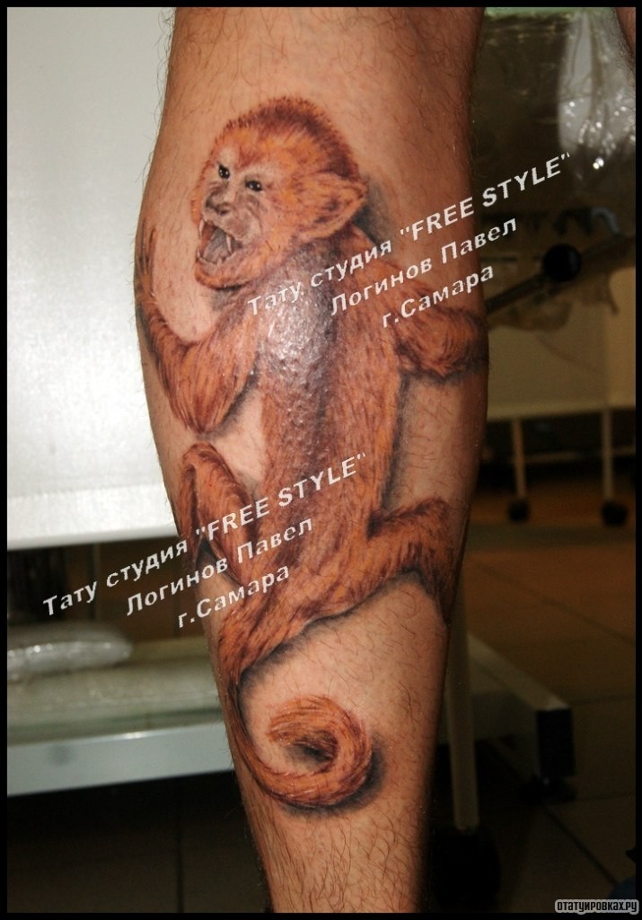 Фотография татуировки под названием «Рыжая обезьяна на голени»