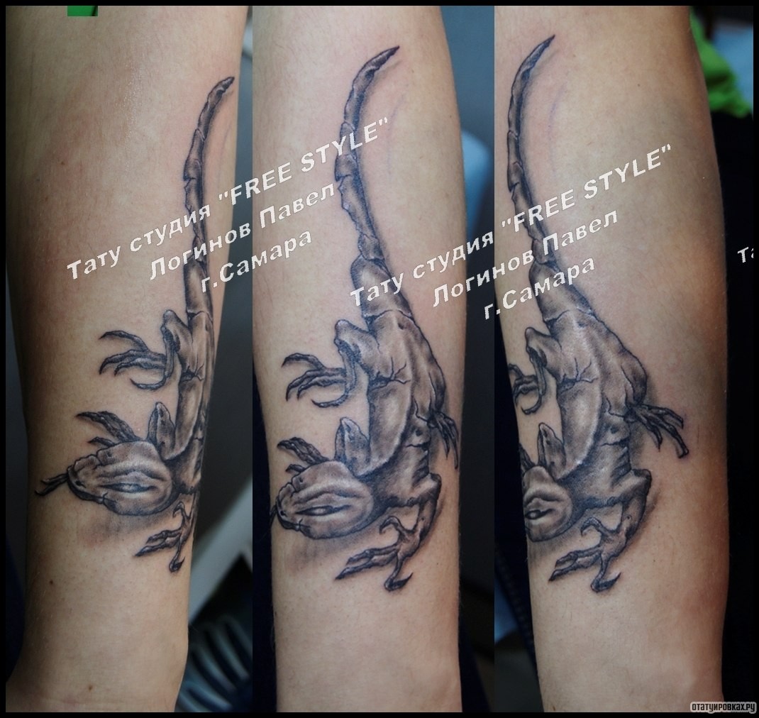 Фотография татуировки под названием «Ящерица страшная на предплечье»