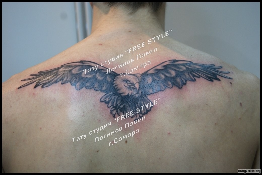 Фотография татуировки под названием «Орел на спине парня»