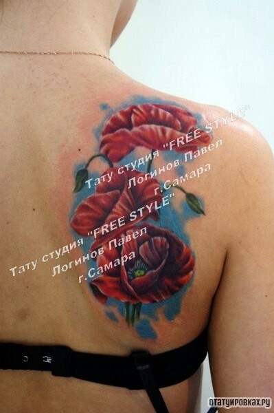 Фотография татуировки под названием «Три цветка мака на лопатке»