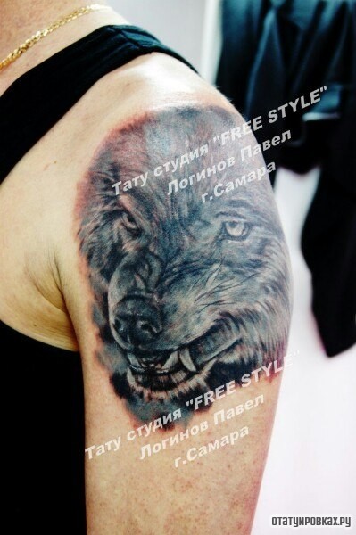 Фотография татуировки под названием «Оскал волка на плече»