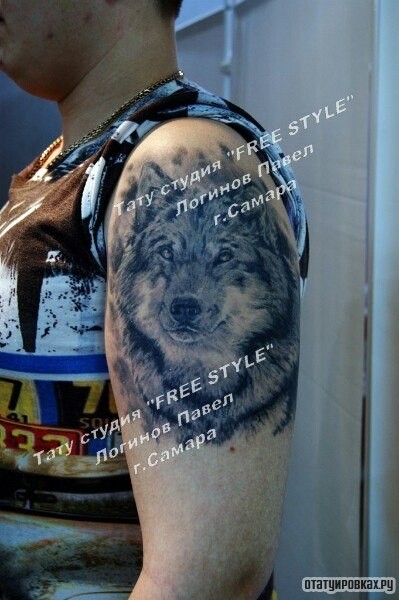 Фотография татуировки под названием «Волк на плече»