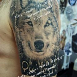 Тату волк на плече