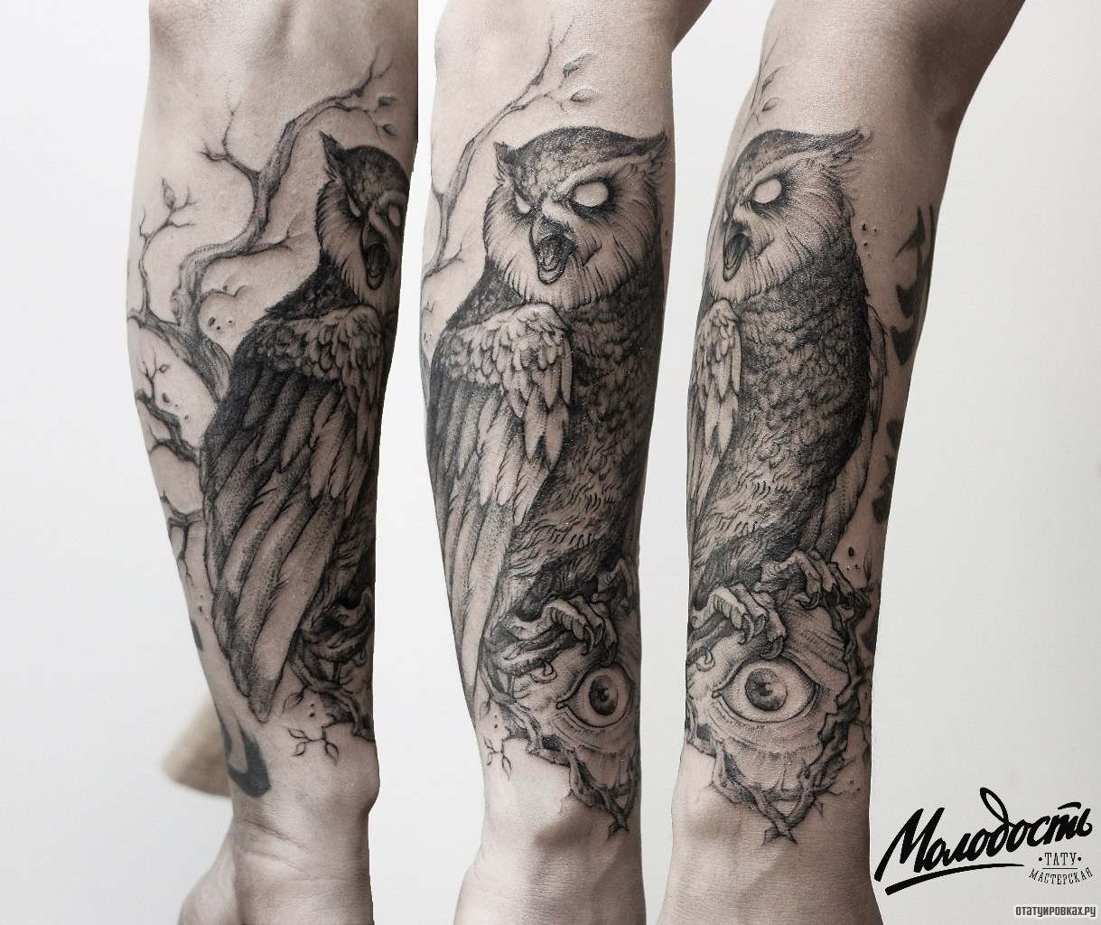 Фотография татуировки под названием «Жуткий взгляд совы, которая сидит на глазе»