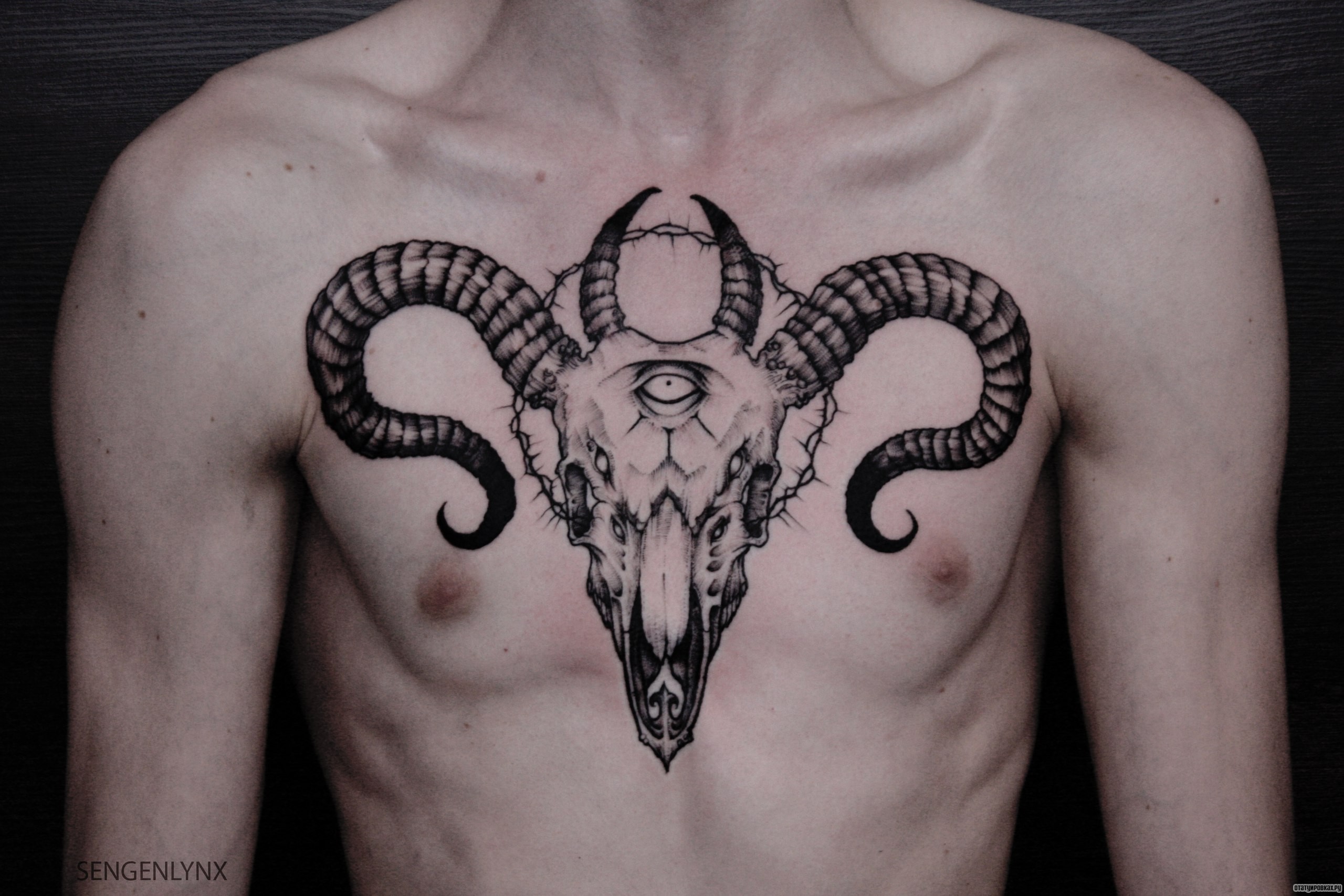 Фотография татуировки под названием «Череп животного с колючей проволокой»