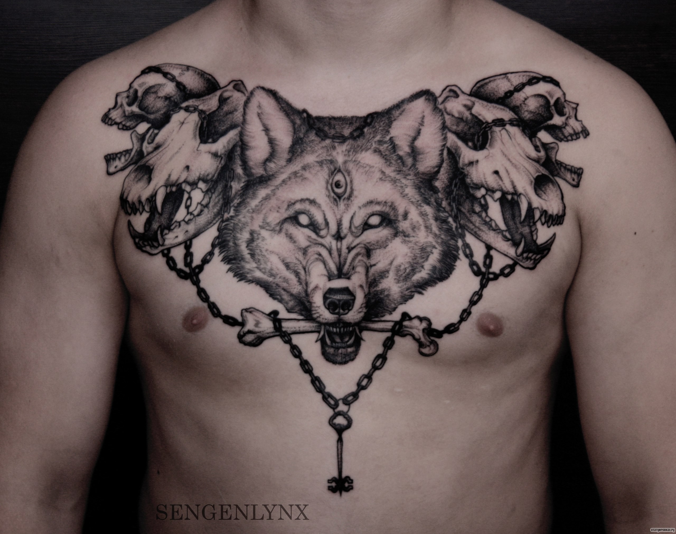 Фотография татуировки под названием «Волк с черепами держит в зубах кость»
