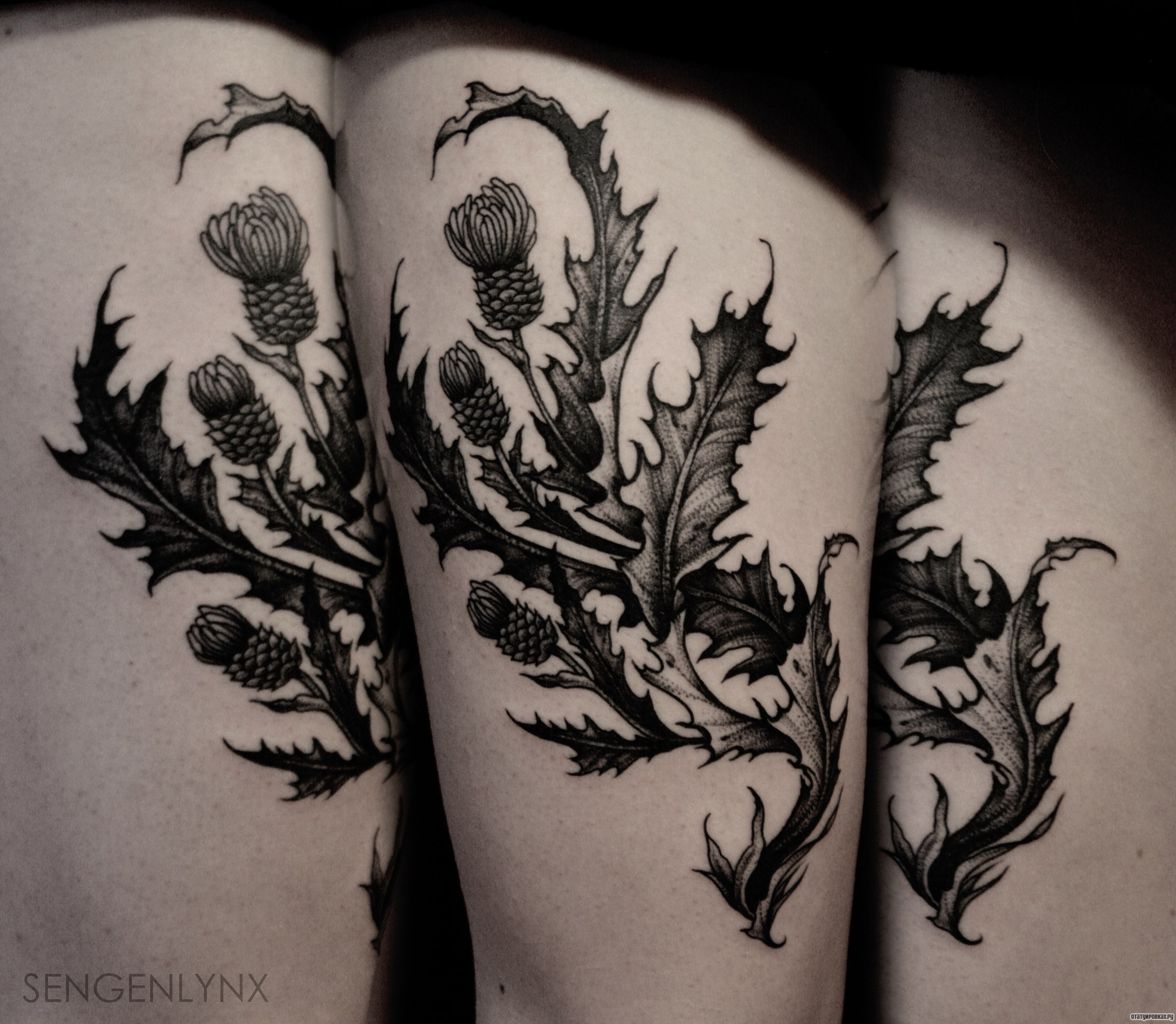 Фотография татуировки под названием «Цветок чертополох»