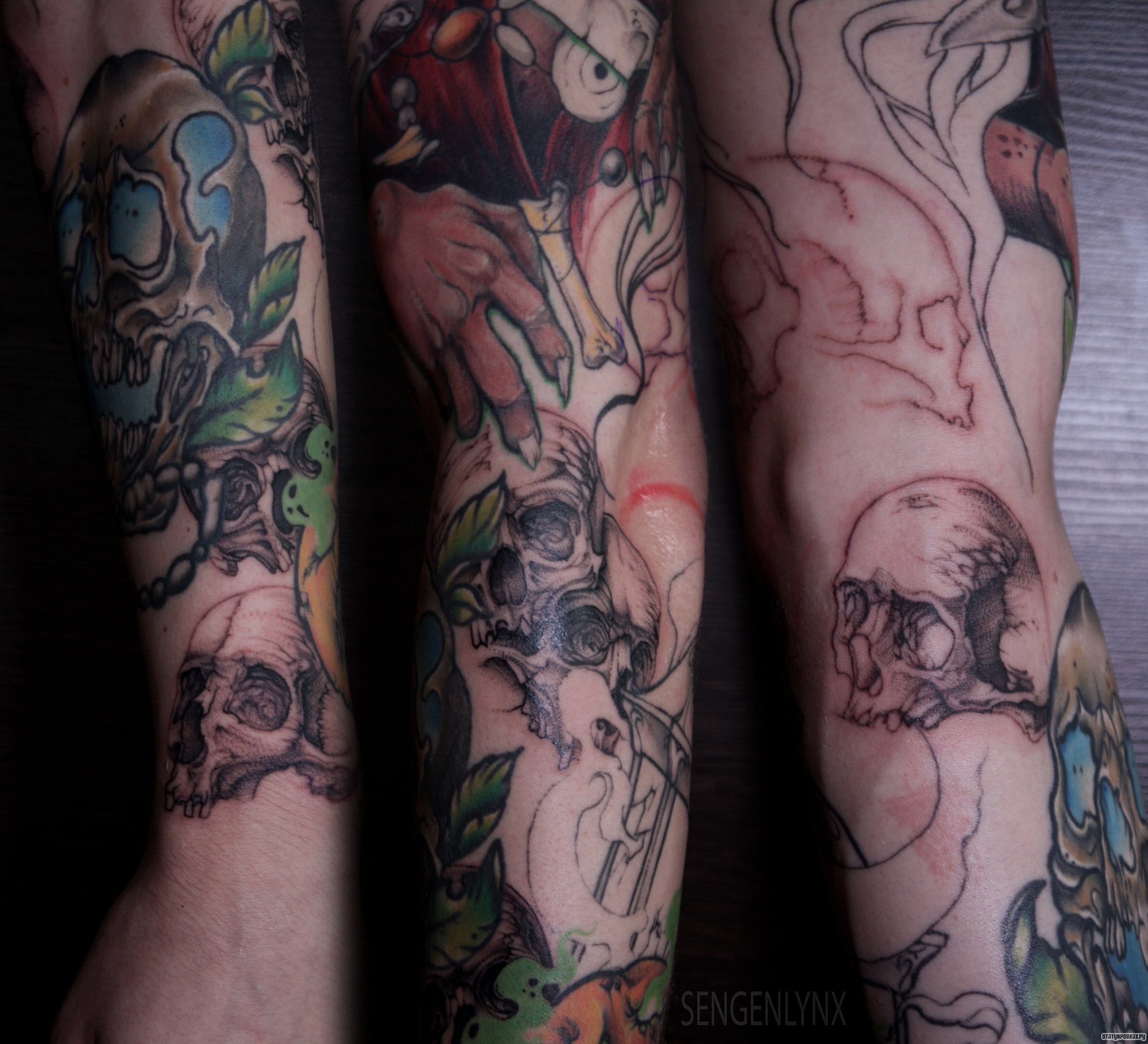 Фотография татуировки под названием «Черепа в разных вариациях»
