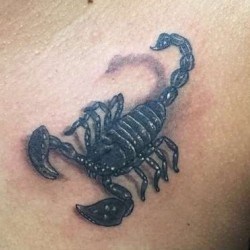 Скорпион с тенями на груди