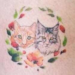 Два кота с цветком и листьями на плече
