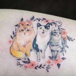 Три кота на предплечье