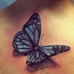 Бабочка с тенями на спине