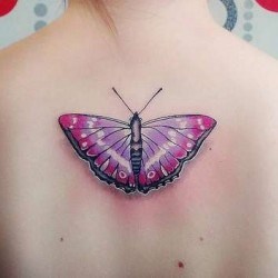 Тату розовая бабочка с большими крыльями