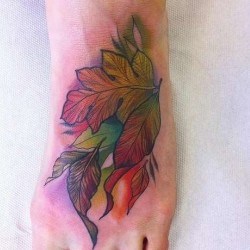 Разноцветные листья на ступне