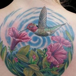 Колибри с цветами на спине