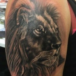 Лев - царь зверей на плече