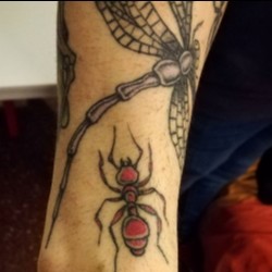 Что означает татуировка с муравьем?