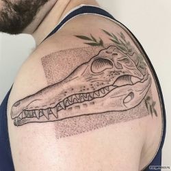 Череп крокодила на плече