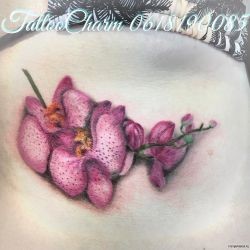 Орхидея в розовом цвете на животе