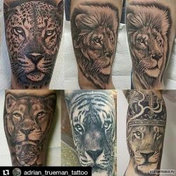 Леопард, лев, тигр на плече